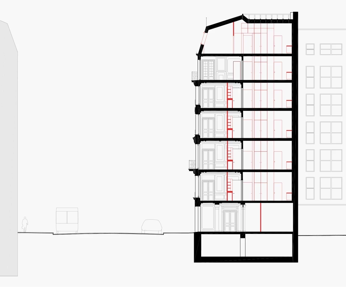 1602-CHAT-Coupe-recadre